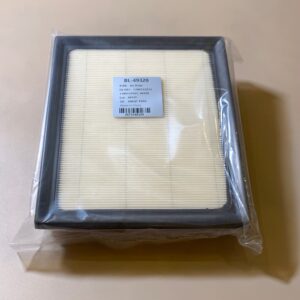 air-filter-49320-17801yzz12