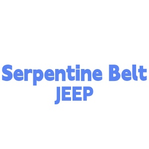 Serpentine Belt