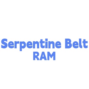 Serpentine Belt