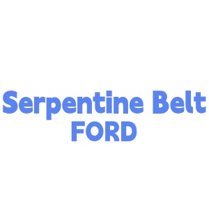 Serpentine Belt