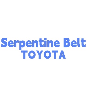 Serpentine Belt