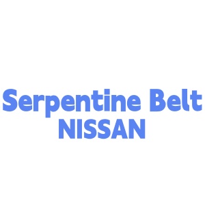 Serpentine Belt