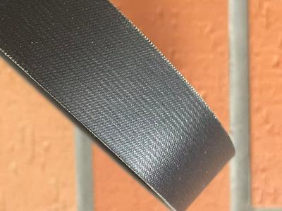 Canvas back Serpentine Belt